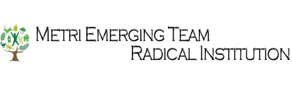 Metri Emerging Team Radical Institute
